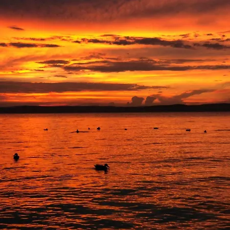 Siófoki Vízparti - Lakeside